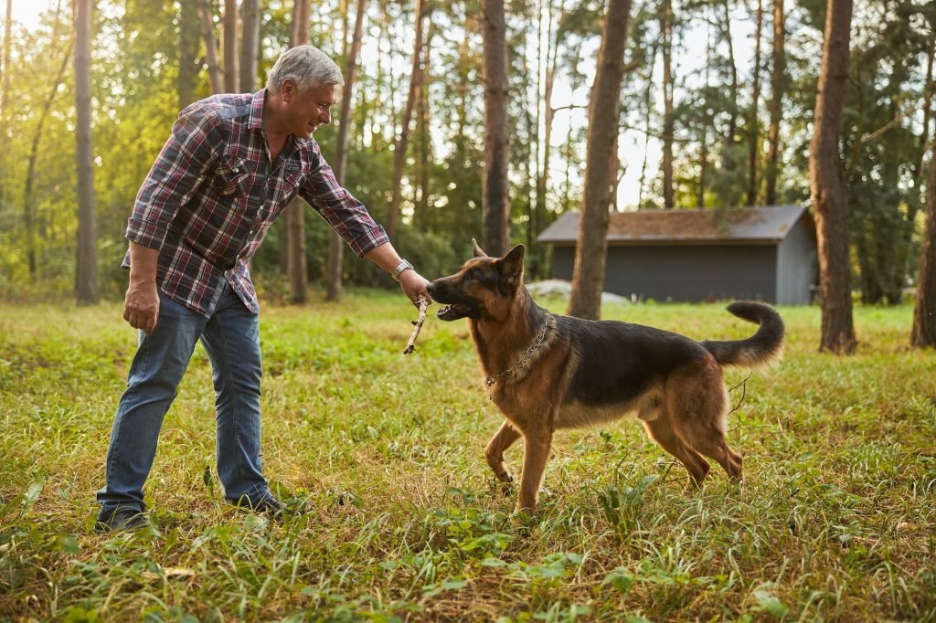 Staying Active After 65: Fun Ways to Boost Your Health